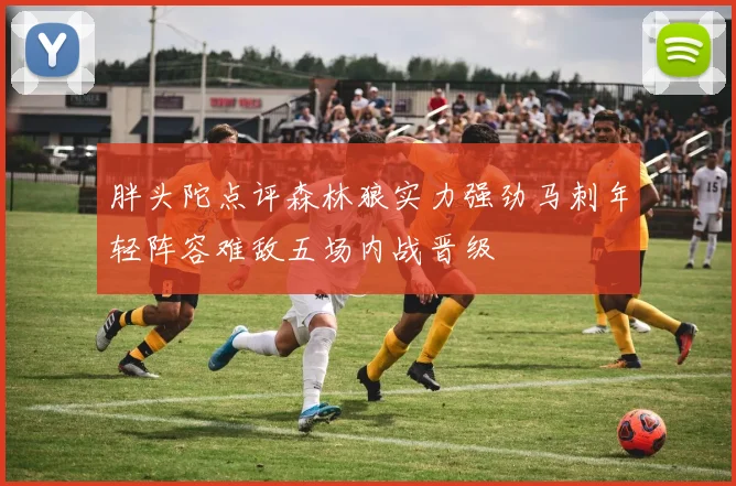 胖头陀点评森林狼实力强劲马刺年轻阵容难敌五场内战晋级