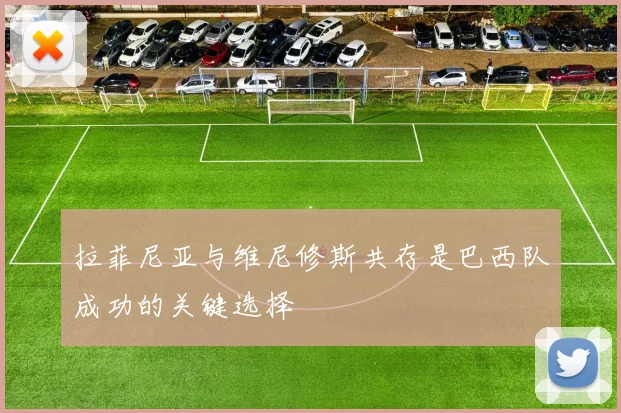 拉菲尼亚与维尼修斯共存是巴西队成功的关键选择